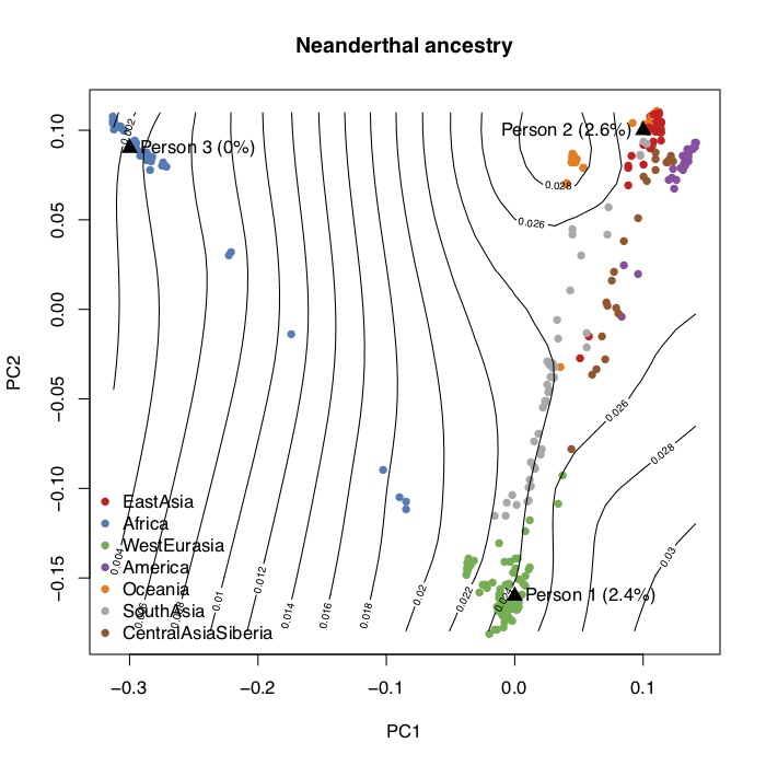 Neanderthal