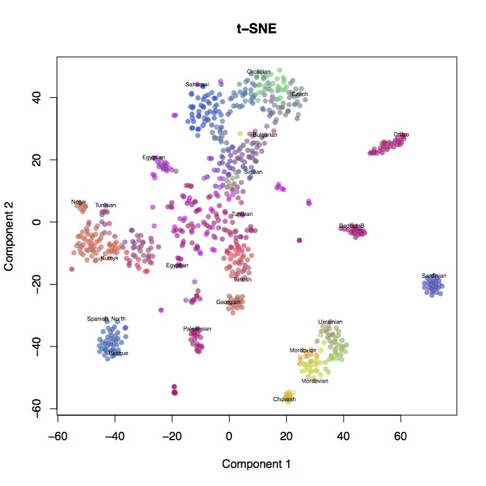 t-SNE results