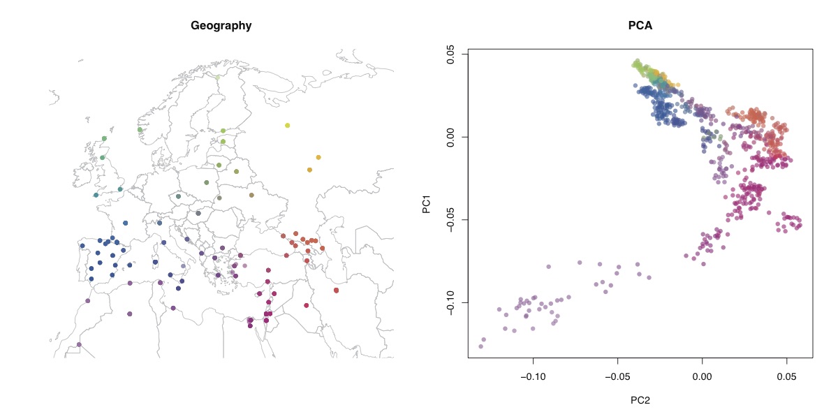 Geographic distribution of samples and PCA