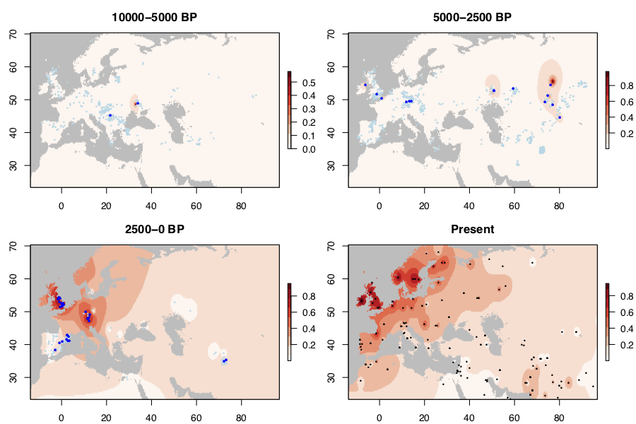 rs4988235 Maps